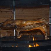 Ein Grill Wildschwein zu ausgewählten Unternehmen