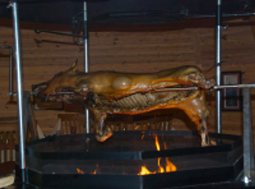 Ein Grill Wildschwein zu ausgewählten Unternehmen